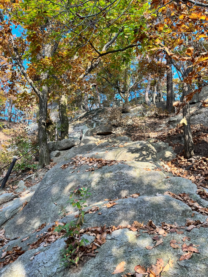 진정한 바위산의 면모