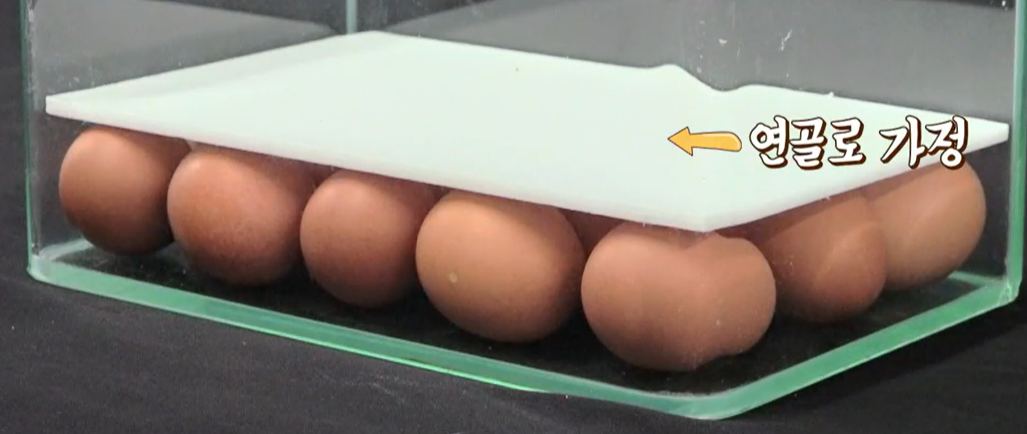 콘드로이친 효능