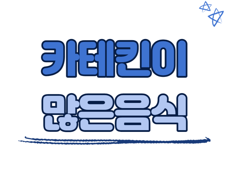 카테킨이 많은 음식