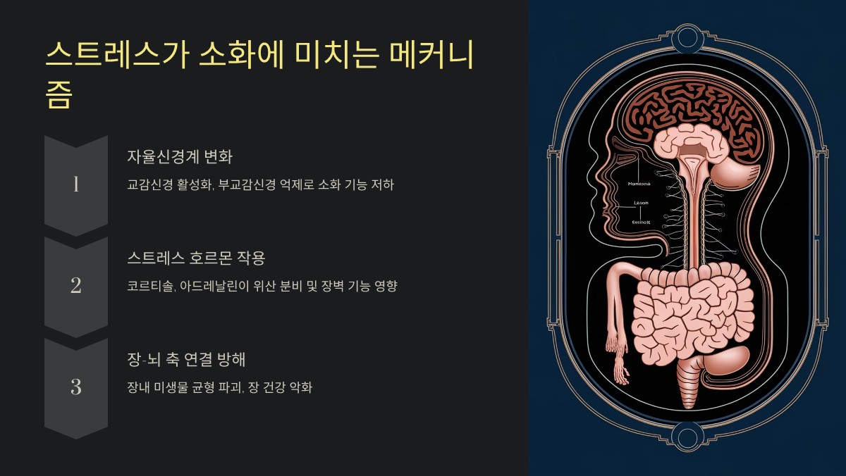 스트레스와 소화