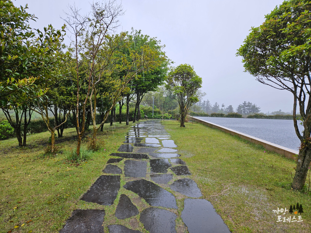 제주 방주교회 돌길