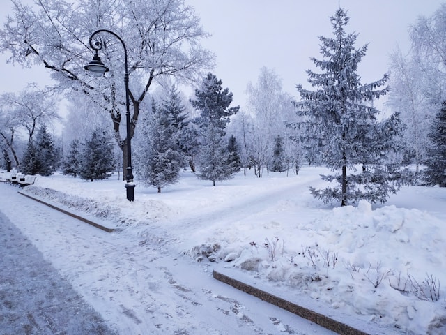 염화칼슘 파는 곳 무료 수령 및 구매 팁 총정리