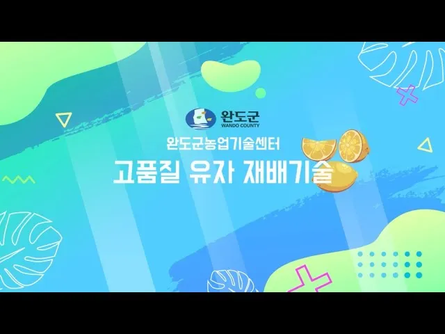 유자 재배 겨울 보온 방풍막 설치 염해 예방_7