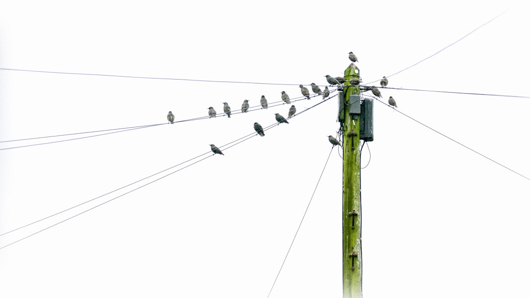 Communication