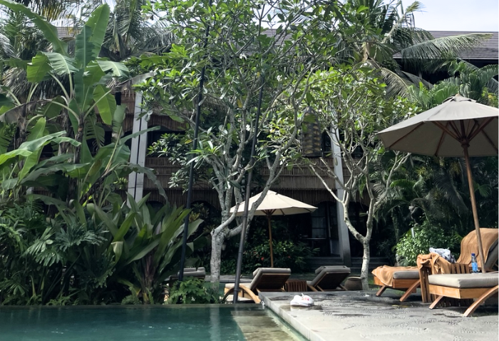 알라야 리조트 우붓 수영장 뷰