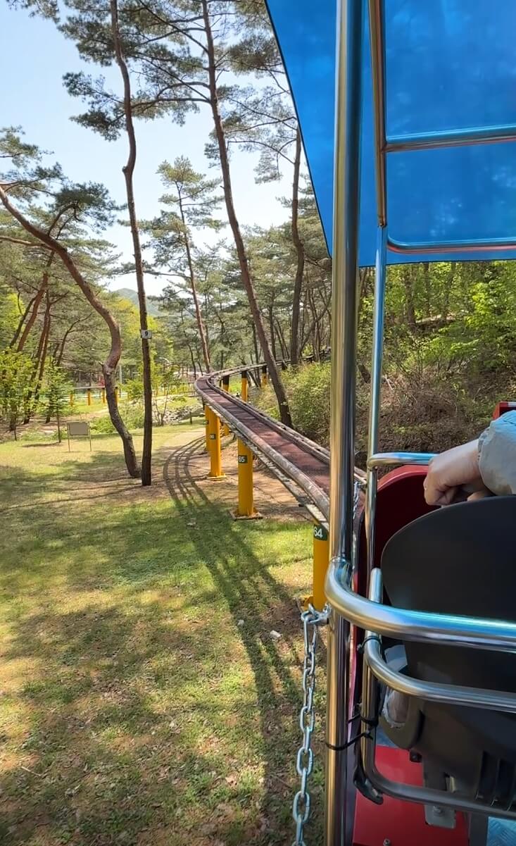 속리산테마파크 스카이바이크