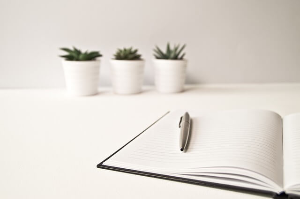 노인일자리 구인구직, 사업, 지원