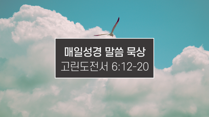 썸네일-구름을-날고-있는-갈매기