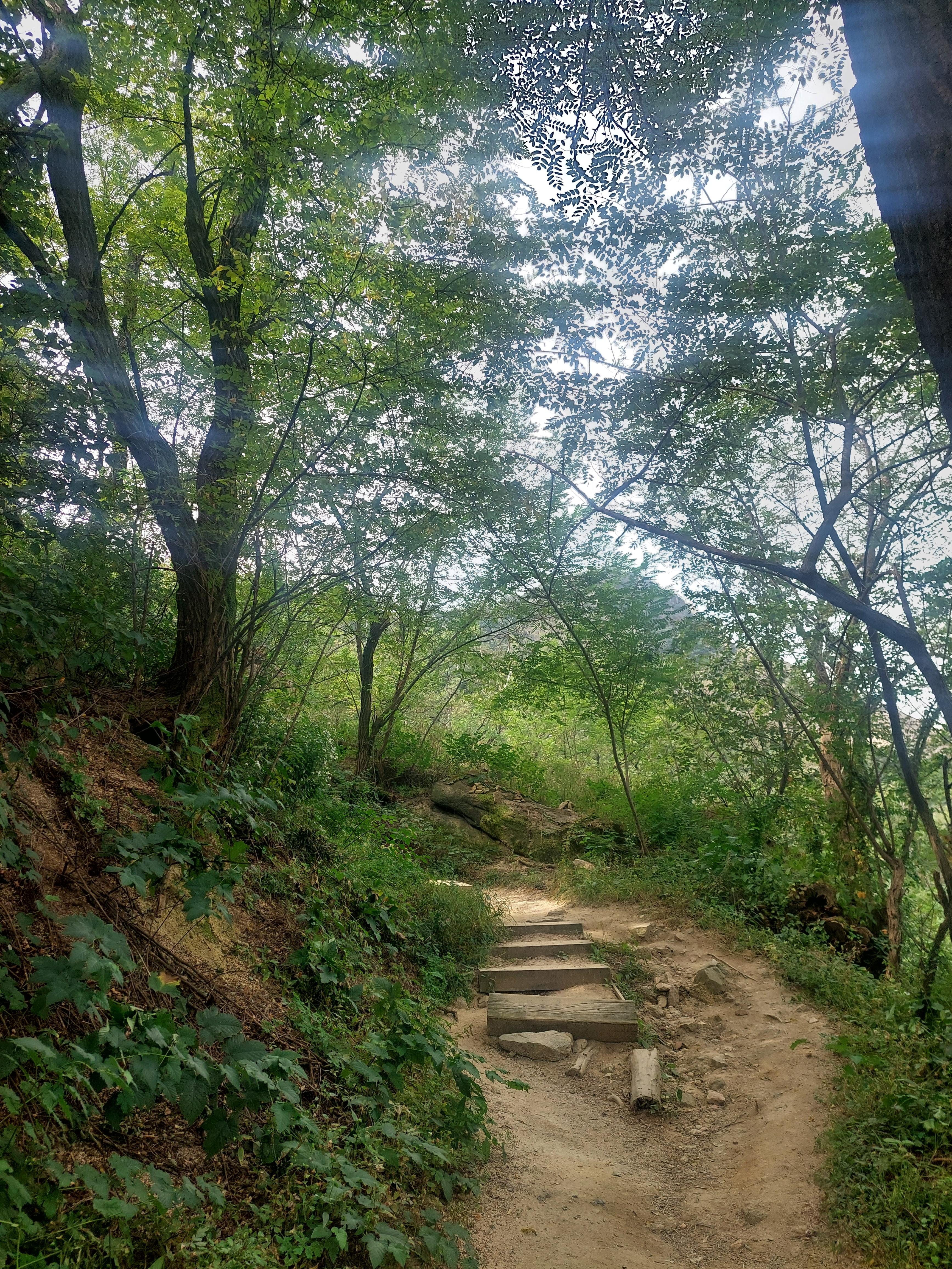 안산