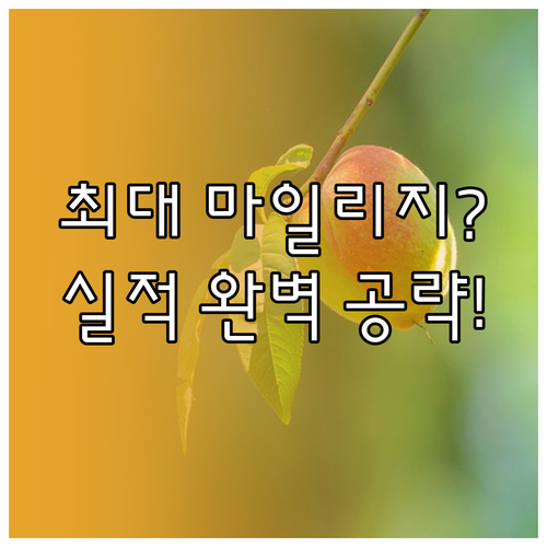 프리미엄 재테크 항공 마일리지 카드 ..