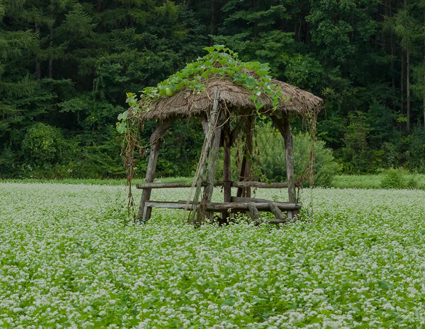 이효석 문화예술촌