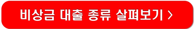 비상금대출-종류-살펴보기