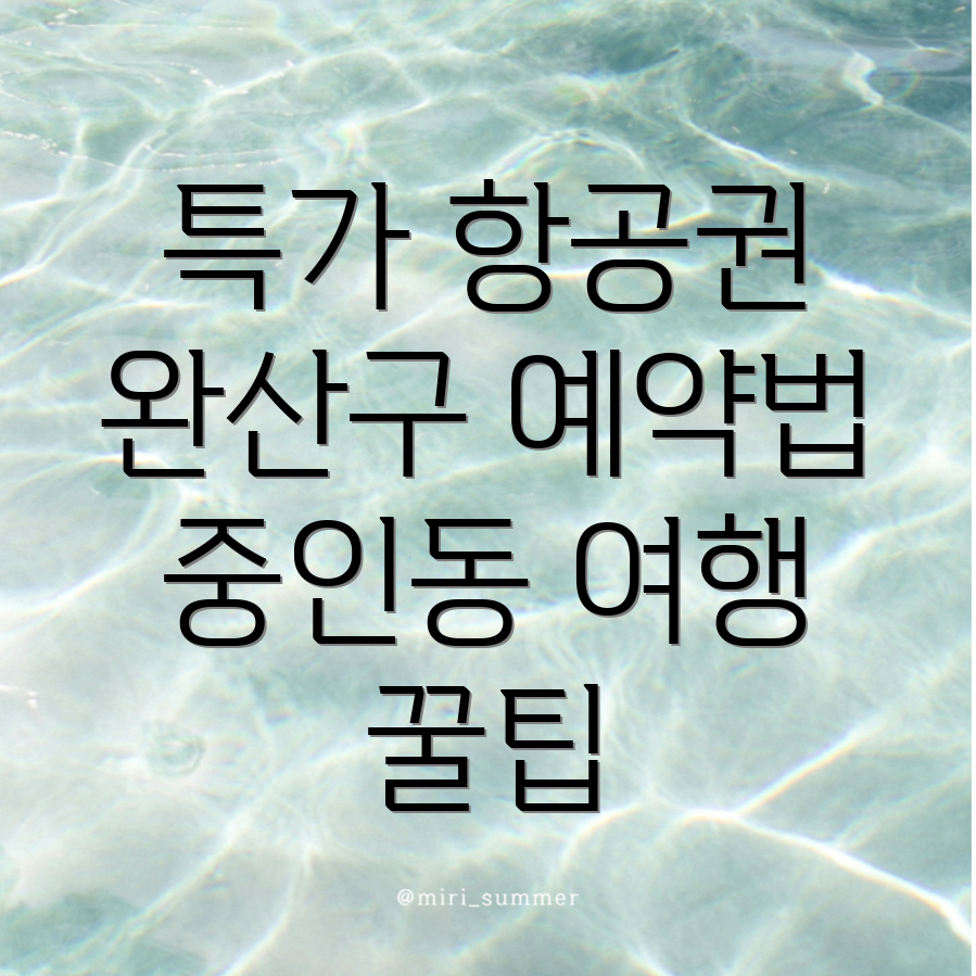 전주 완산구 중인동 항공권