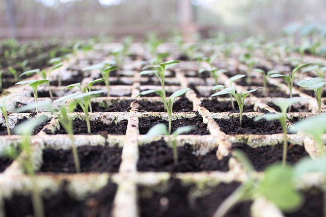 탄소중립포인트 가입 방법