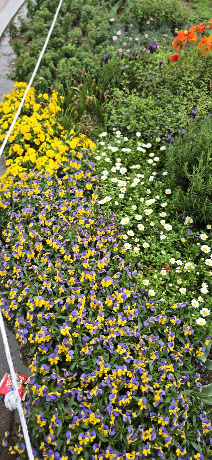 튜울맆 직접 찍은 사진