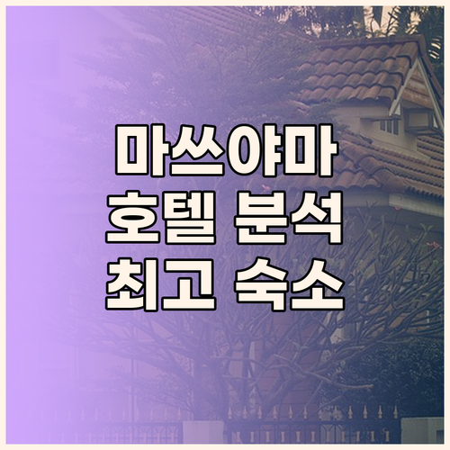 마쓰야마 호텔 완벽 분석 여행객이 선