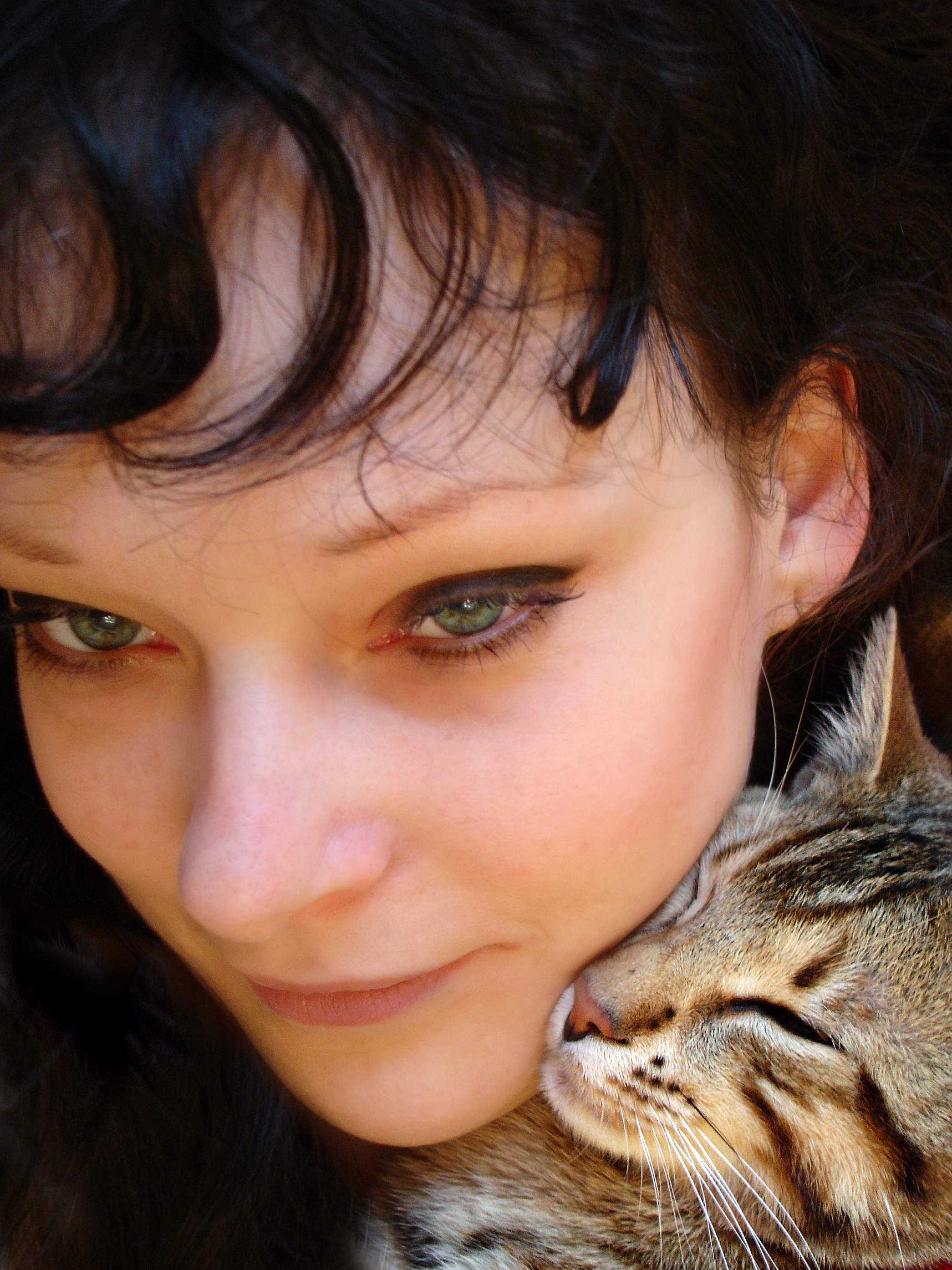 고양이 부비부비 사진