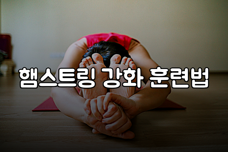 햄스트링 강화 훈련법