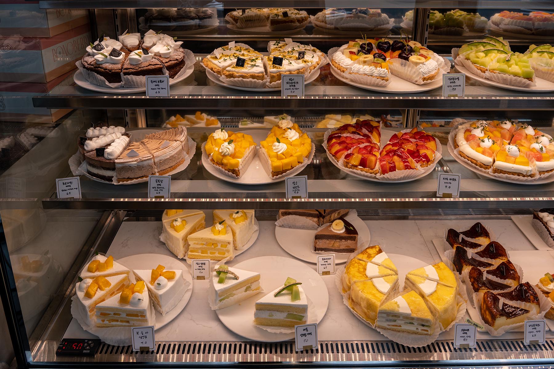 부산대 보노베리 쇼케이스