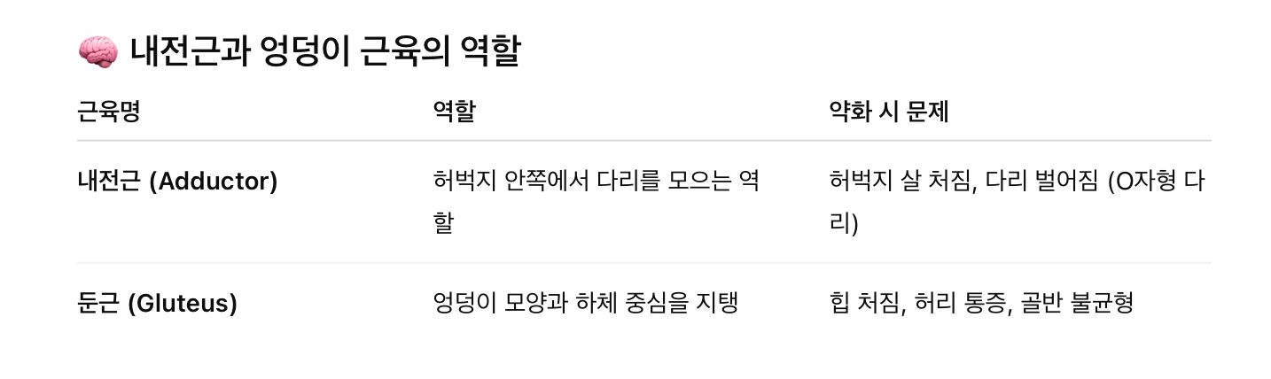 내전근의 역할