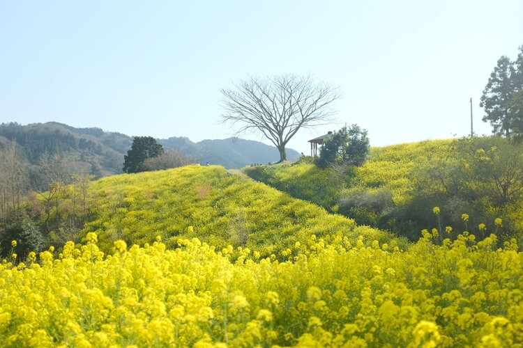 기후 행동 기회 소득 다회용컵 할인 카페 관련사진