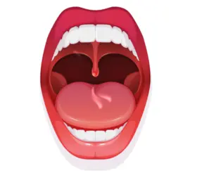 리디에뜨 리디잇 치약 내돈내산 후기 효과 부작용 가격 사용 방법