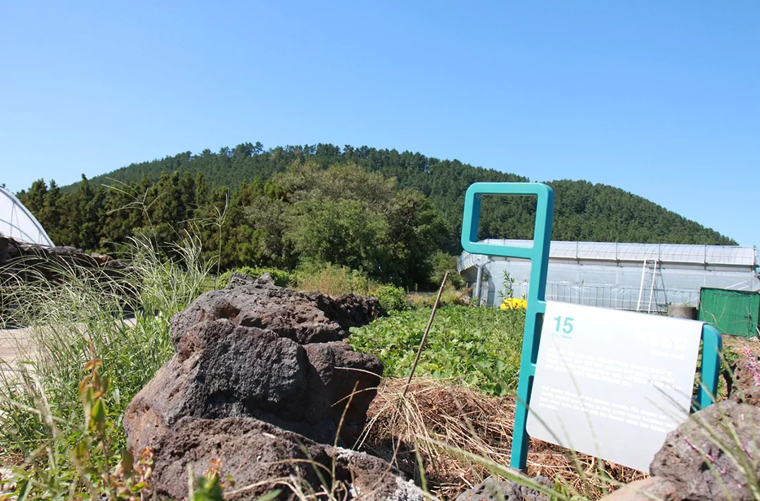 제주 올레길 15코스 A코스 완벽 가이드: 한림항부터 고내포구까지 걷는 내륙 트레일 안내