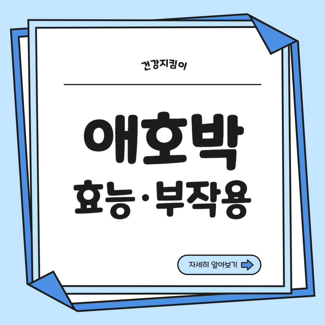 애호박 효능과 부작용 영양성분 고르는법 칼로리
