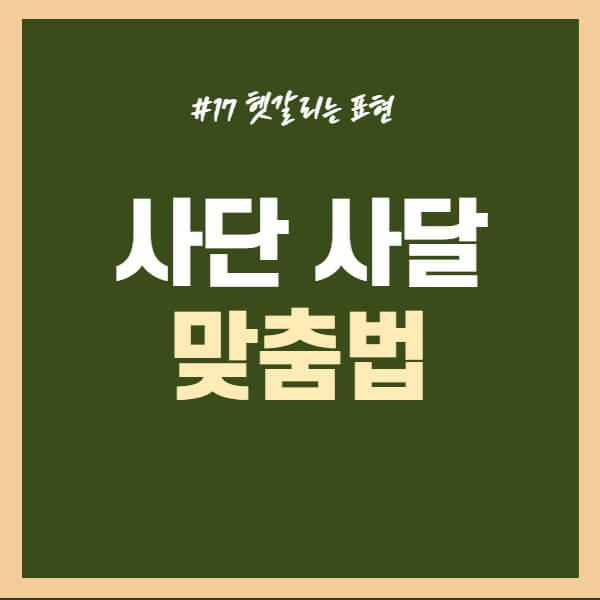 사단이-나다-사달이-나다-올바른-표현