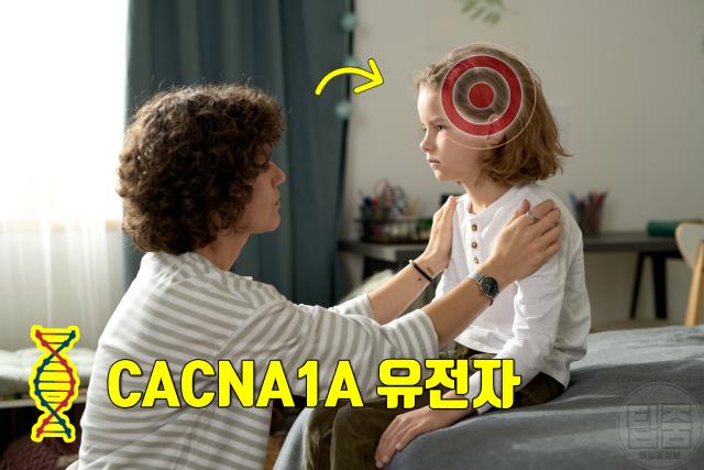 편두통 원인 해결 유전