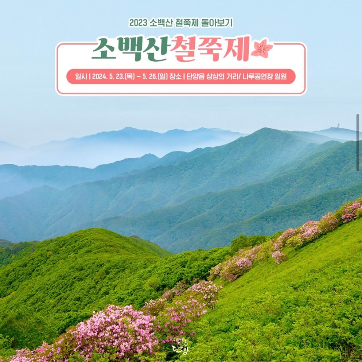 소백산 철쭉축제