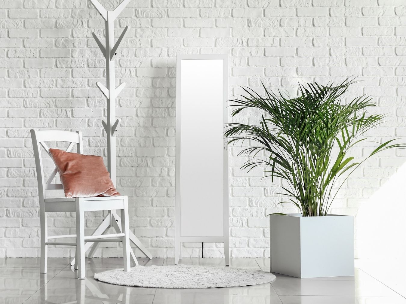 아레카야자 가격