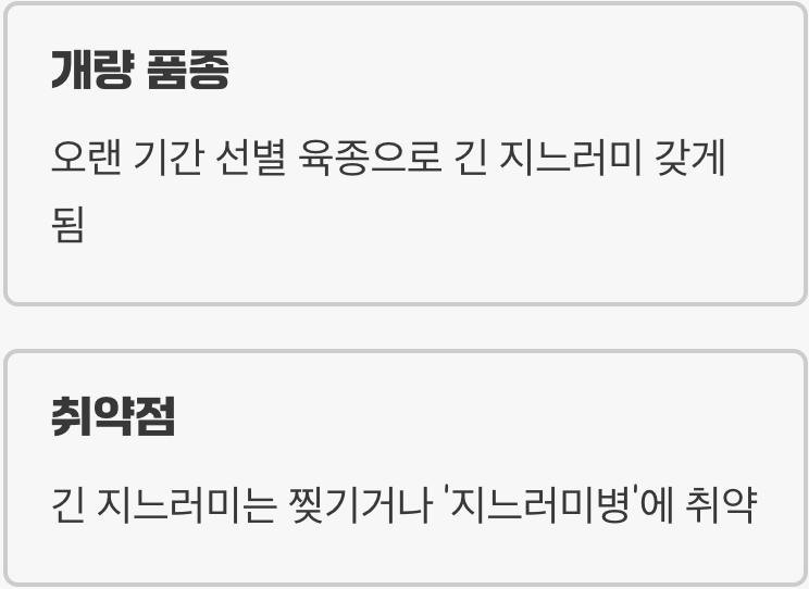&amp;#39;롱핀&amp;#39;의 아름다움&amp;#44; 그 이면의 섬세함
