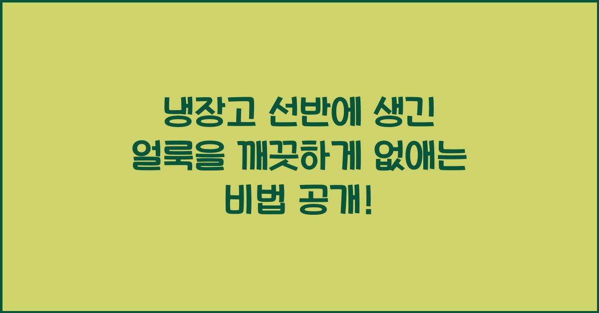 냉장고 선반에 생긴 얼룩을 깨끗하게 없애는 비법