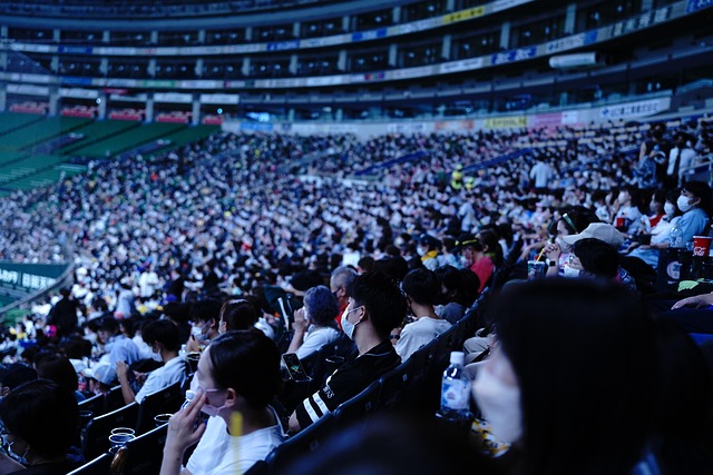 불꽃야구 직관 예매 관련 이미지