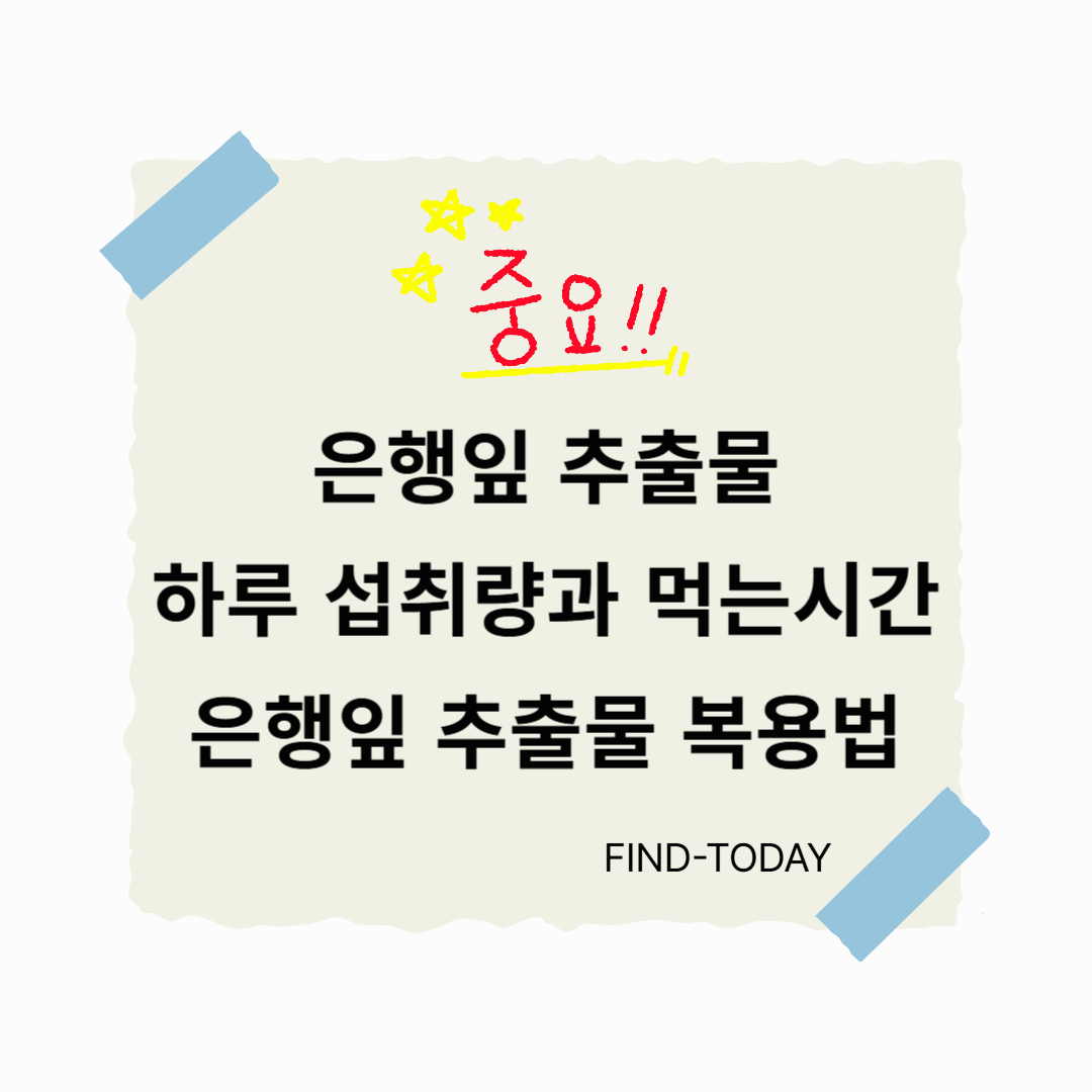 은행잎 추출물 하루 섭취량과 먹는시간, 은행잎 추출물 복용법