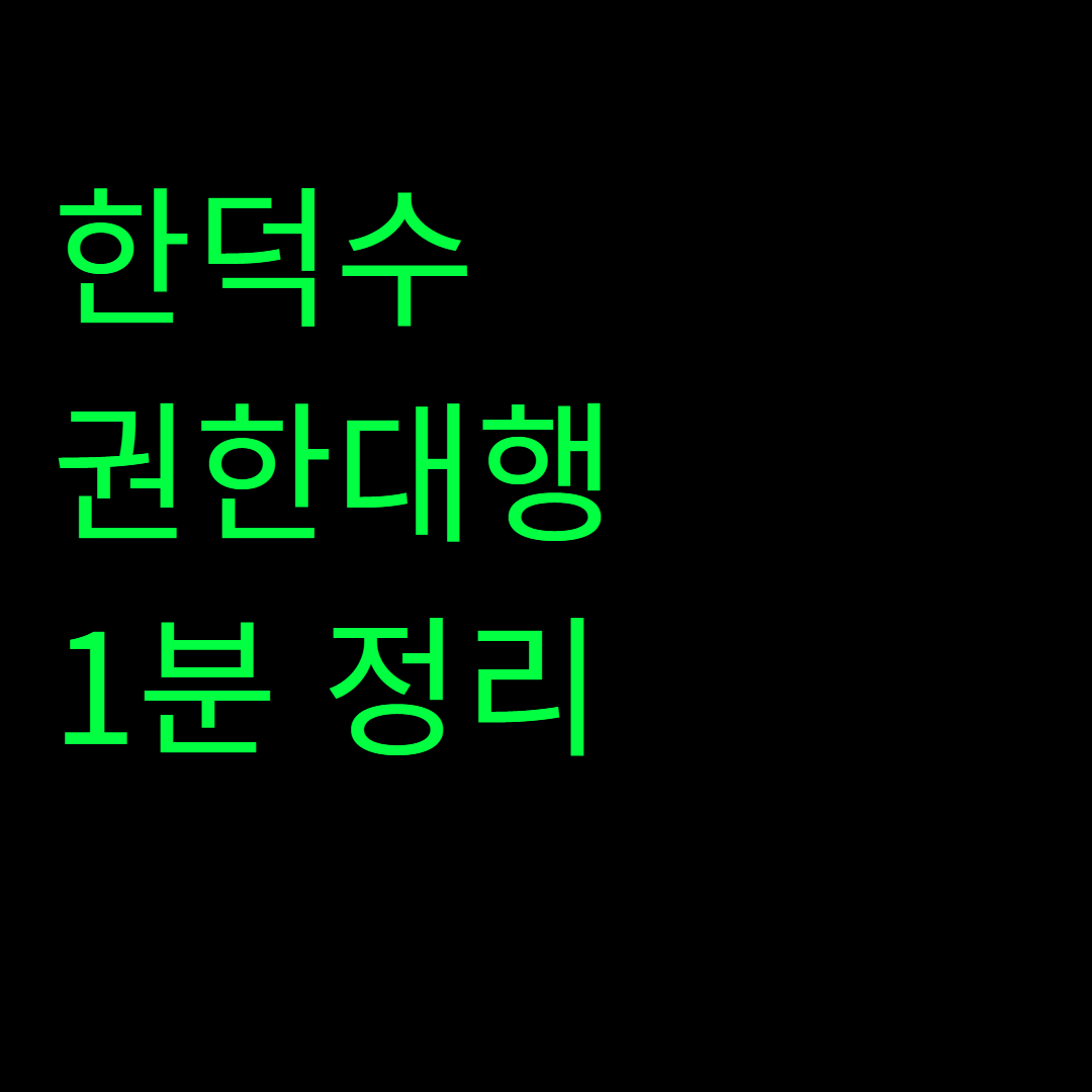 한덕수 권한대행 1분 정리