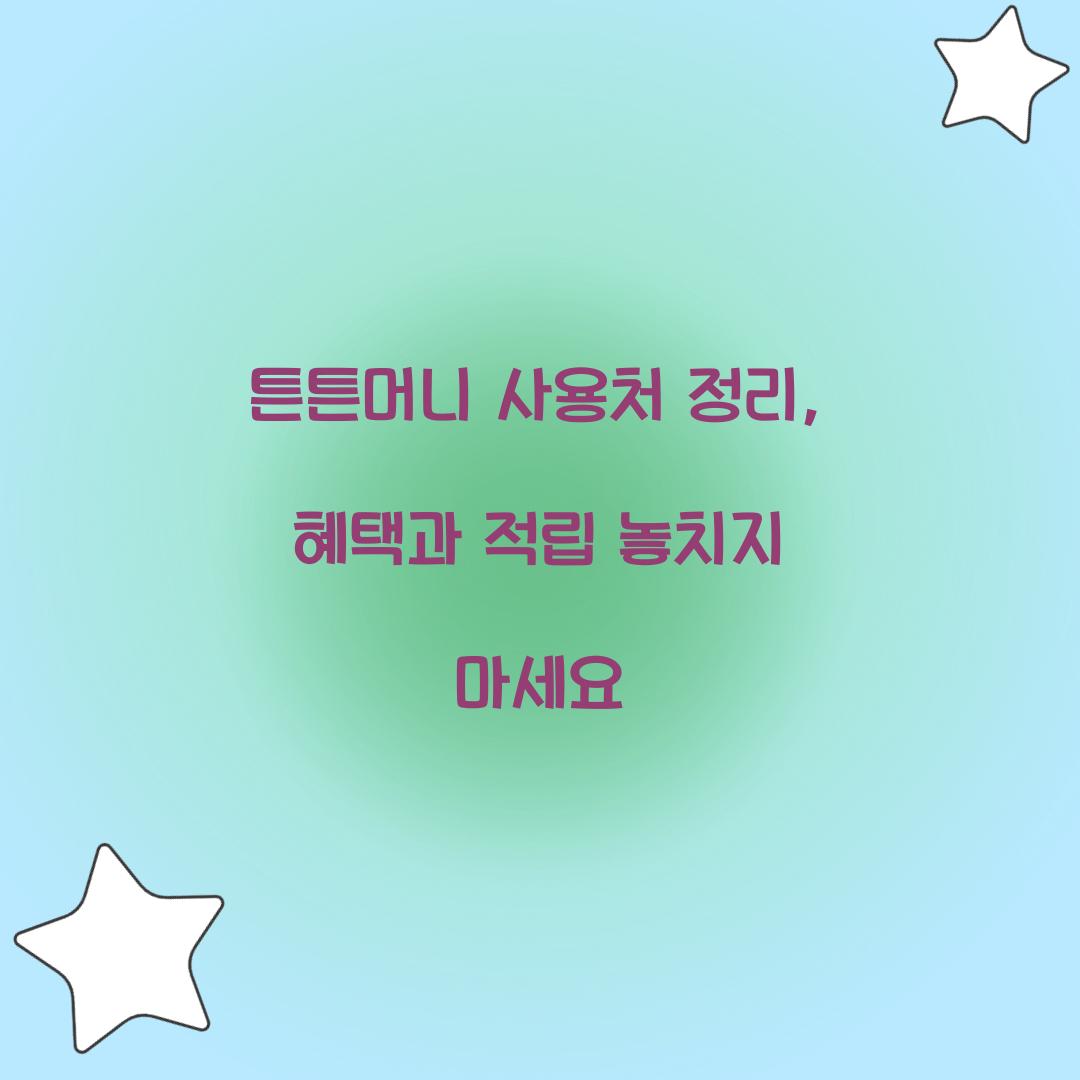 튼튼머니 사용처