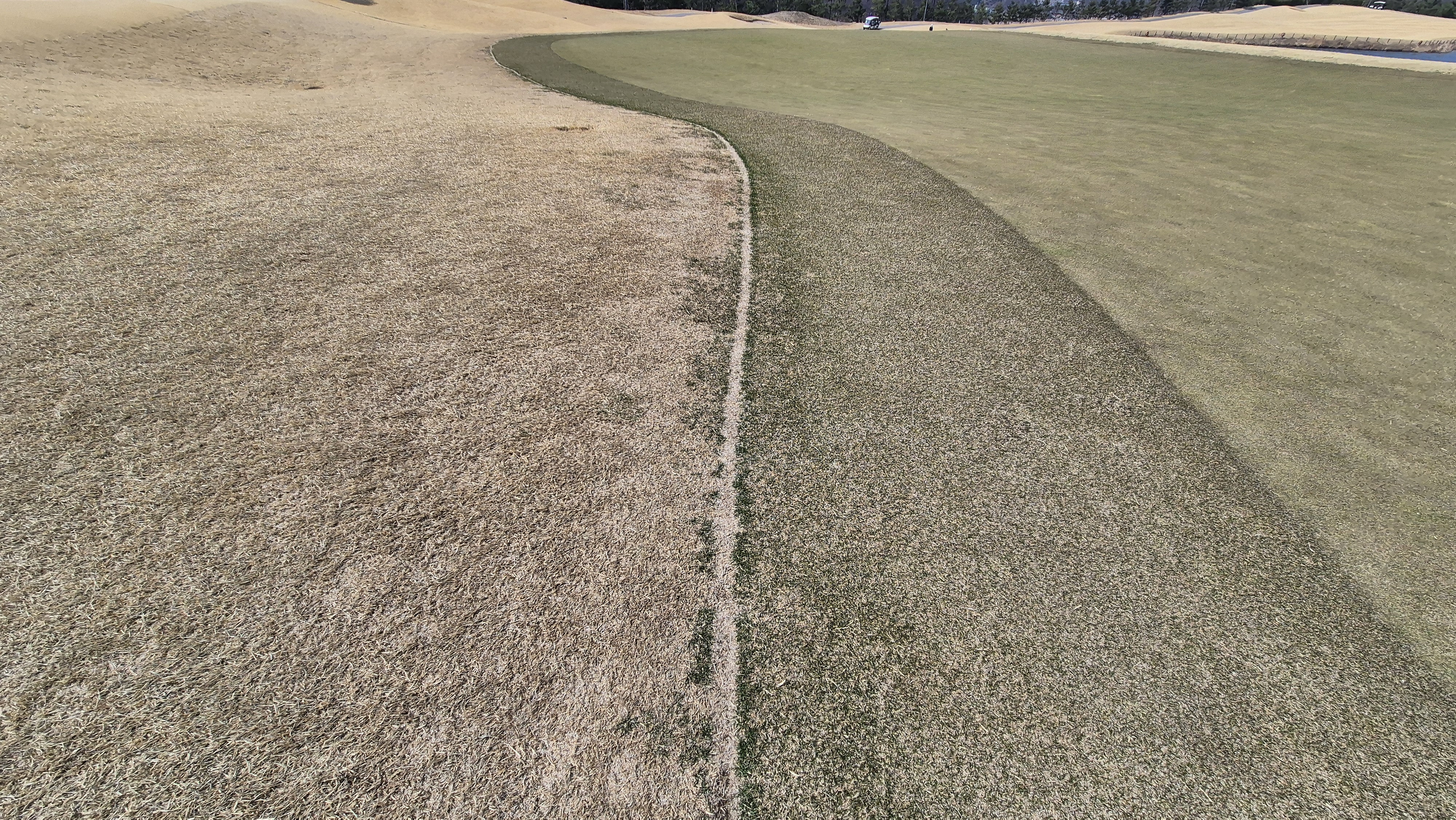 이글몬트cc 히든-이글 코스 라운드 후기