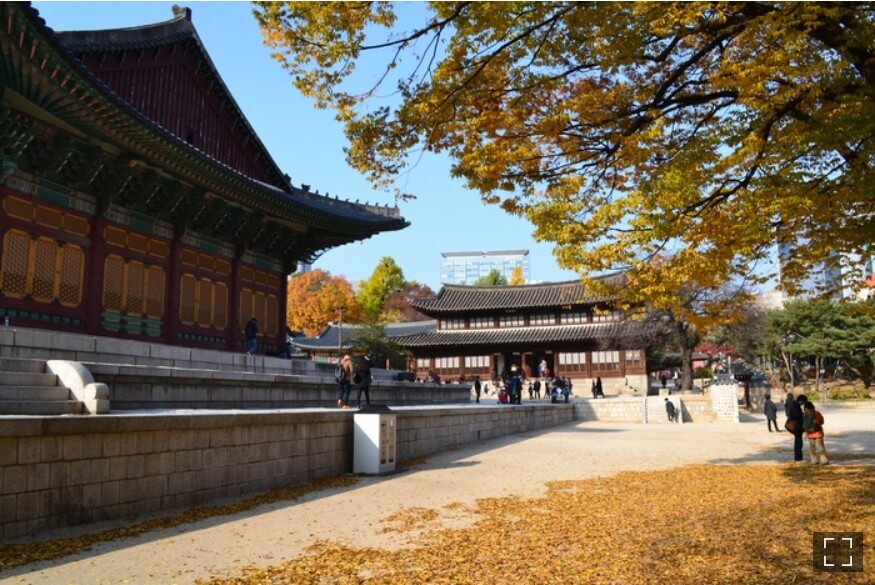 당일치기-단풍여행