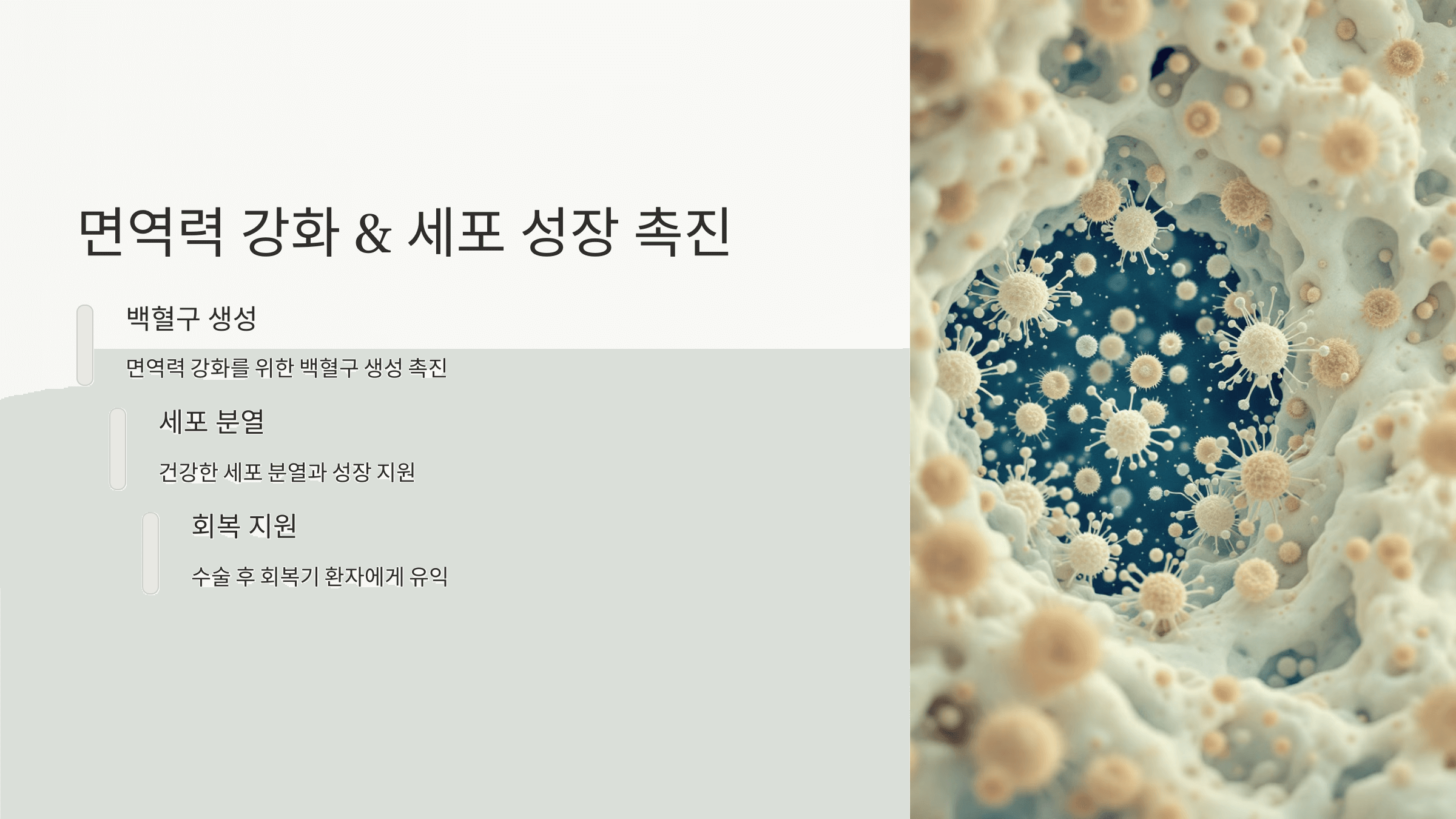 엽산과 관련된 사진입니다.