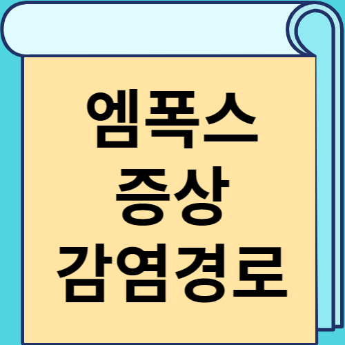 엠폭스 증상 감염경로 썸네일