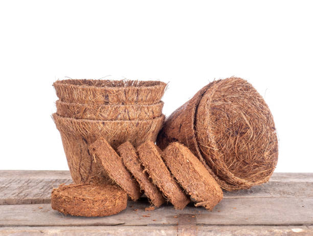 ๐ฑ ํ๋ถ ์ข
๋ฅ๋ณ ๋น๊ต & ์ถ์ฒ