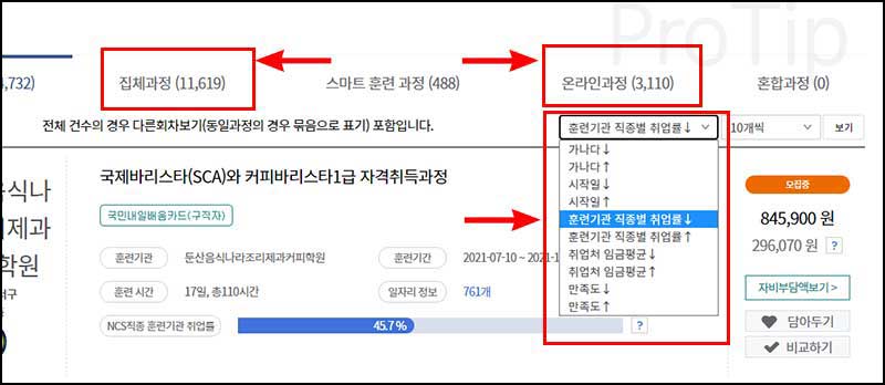 검색-옵션