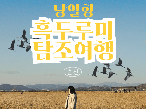 순천 흑두루미 여행