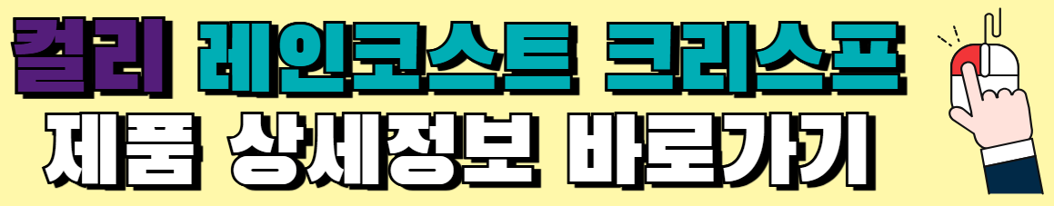 박세리-과자-레인코스트-크리스프-종류-가격-파는곳