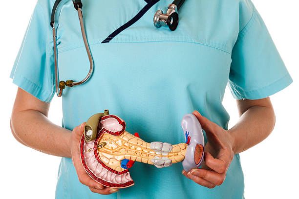 아밀라제 수치가 높은 이유