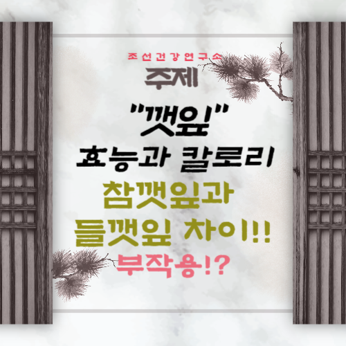 깻잎 효능 5가지 칼로리 부작용