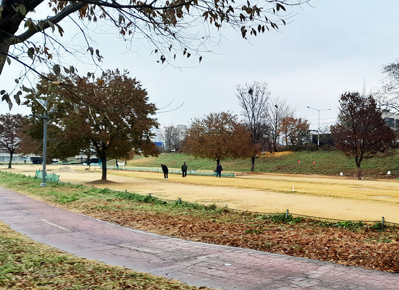 대전광역시 버드내태평파크골프장 소개
