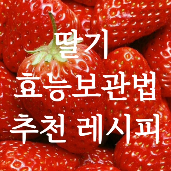 딸기- 건강하게 알고 먹기
